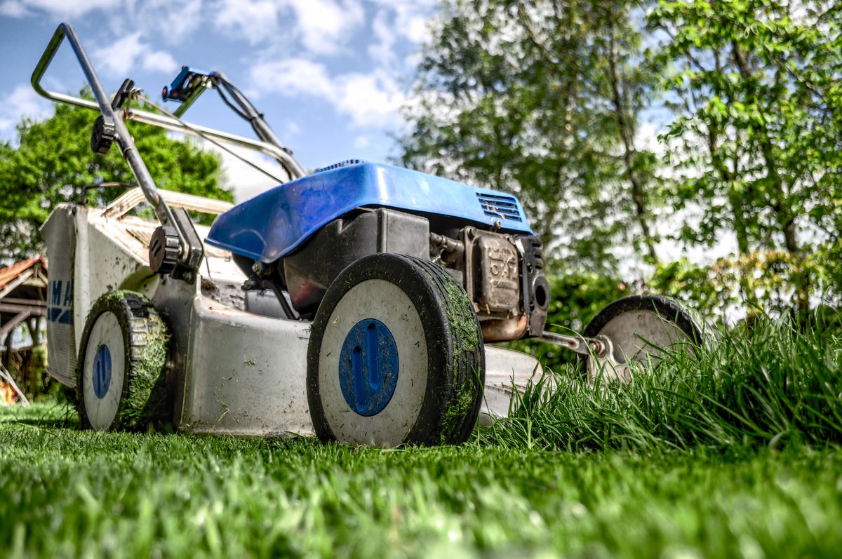 Close view of a mower on a green lawn