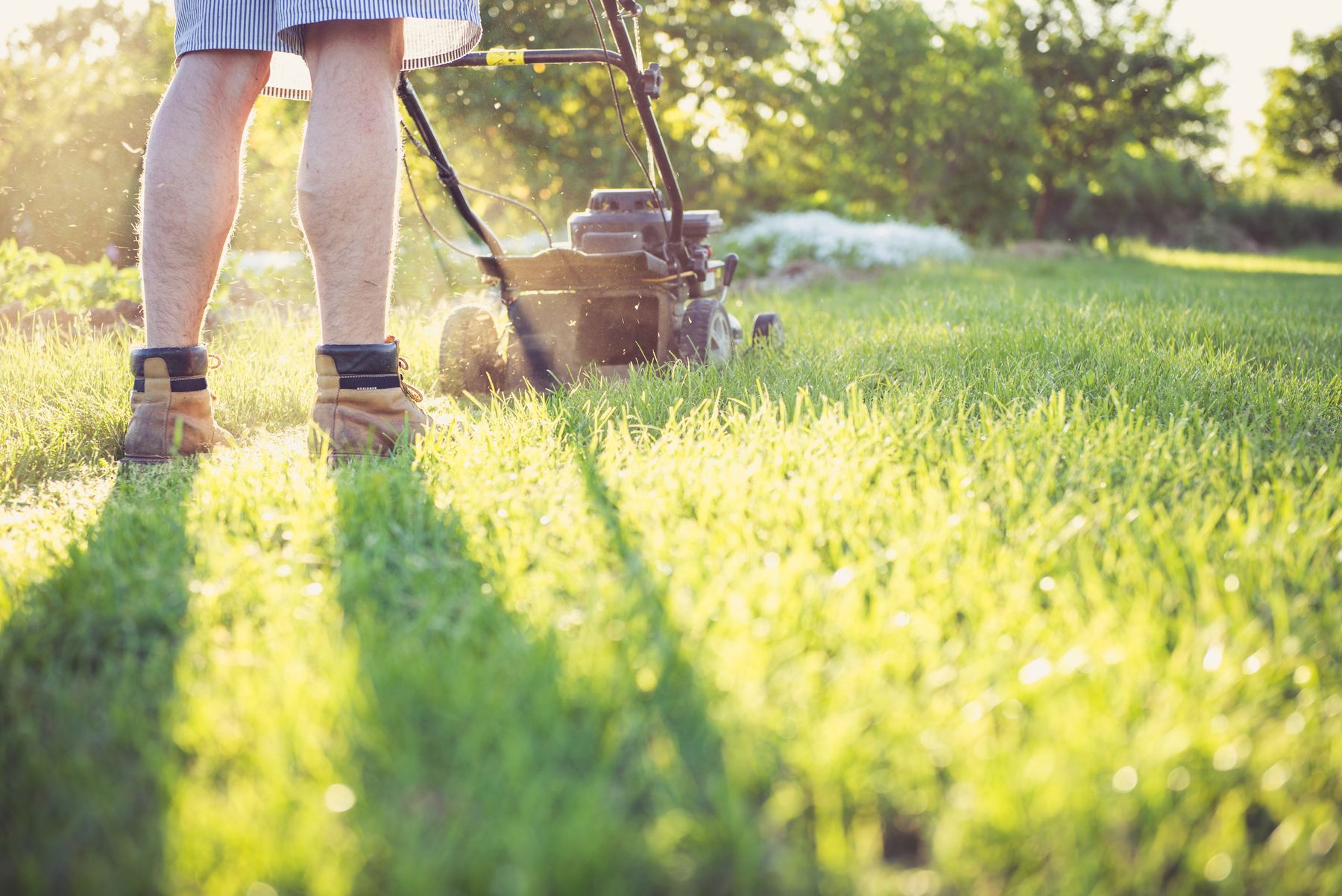 Lawn mowing in warm afternoon light